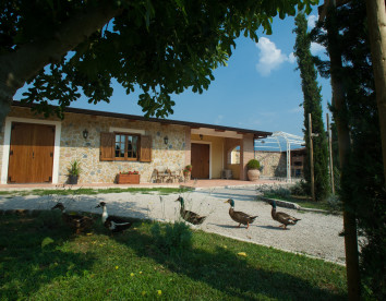 vivinatura